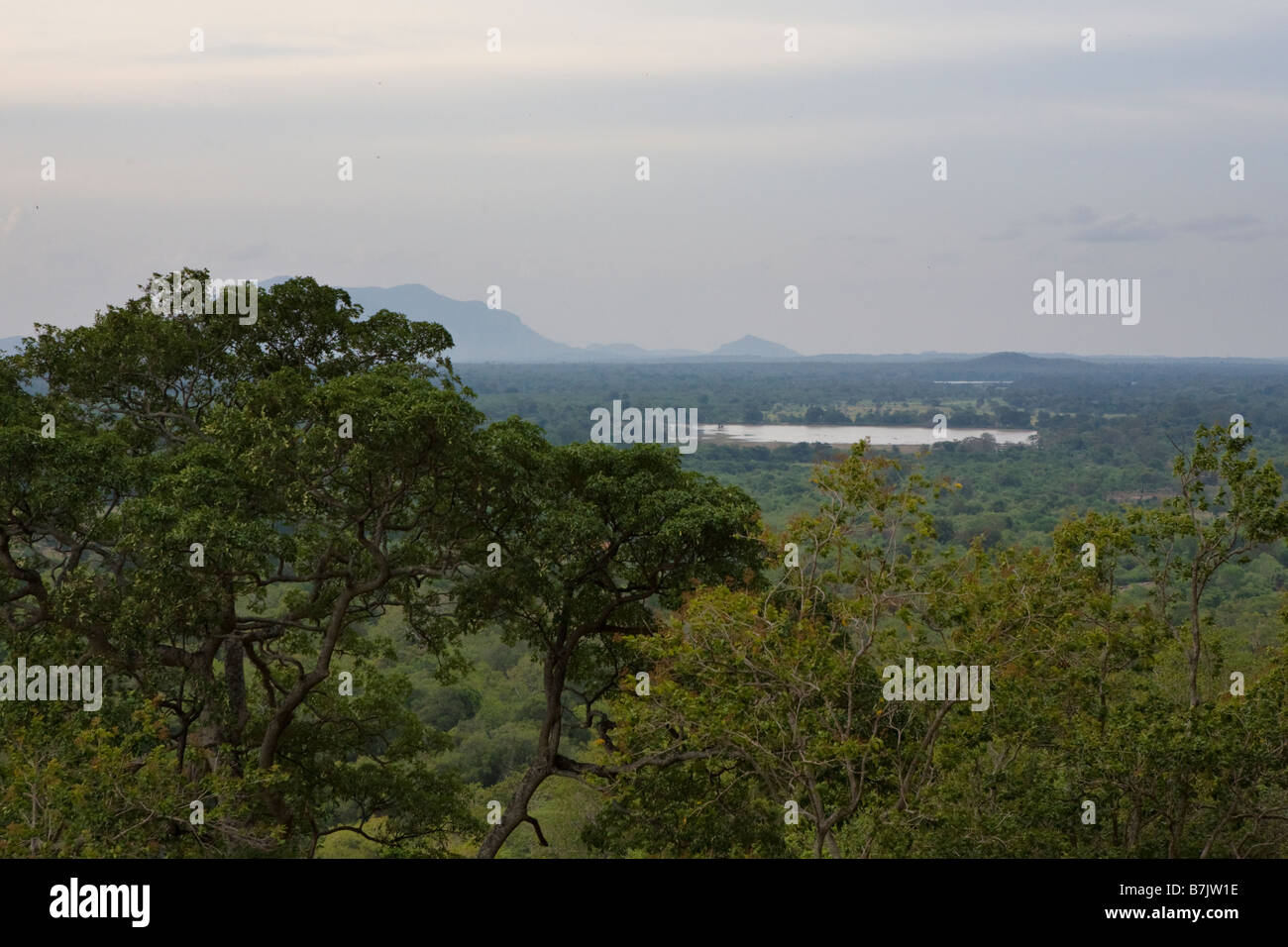 Blick auf die Sri-Lankischen Landschaft von der Spitze der Spitze von Sigiriya (Löwen Felsen) in Matale-Distrikt, Sri Lanka Stockfoto