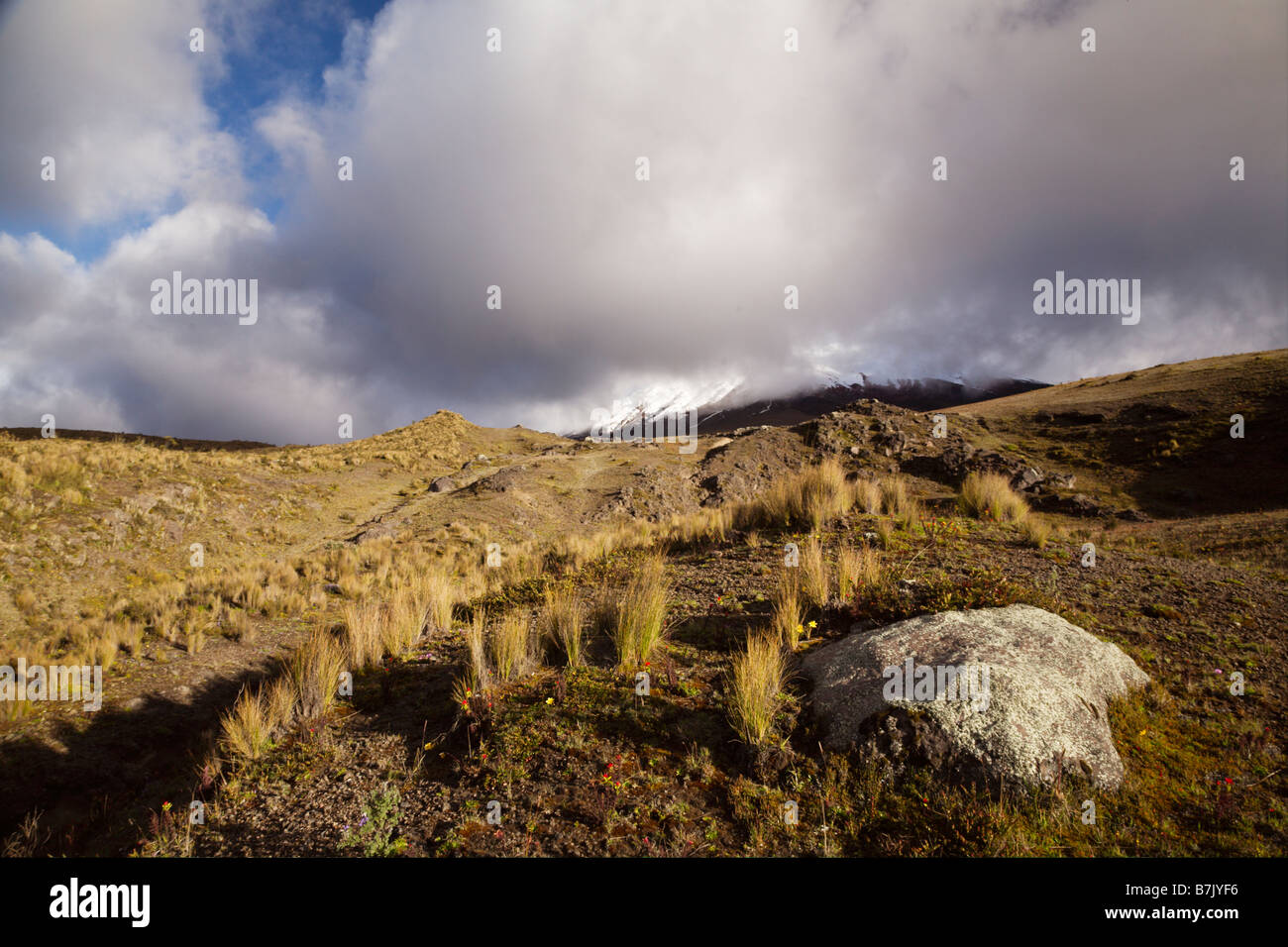 Nationalpark Cotopaxi, Ecuador Stockfoto