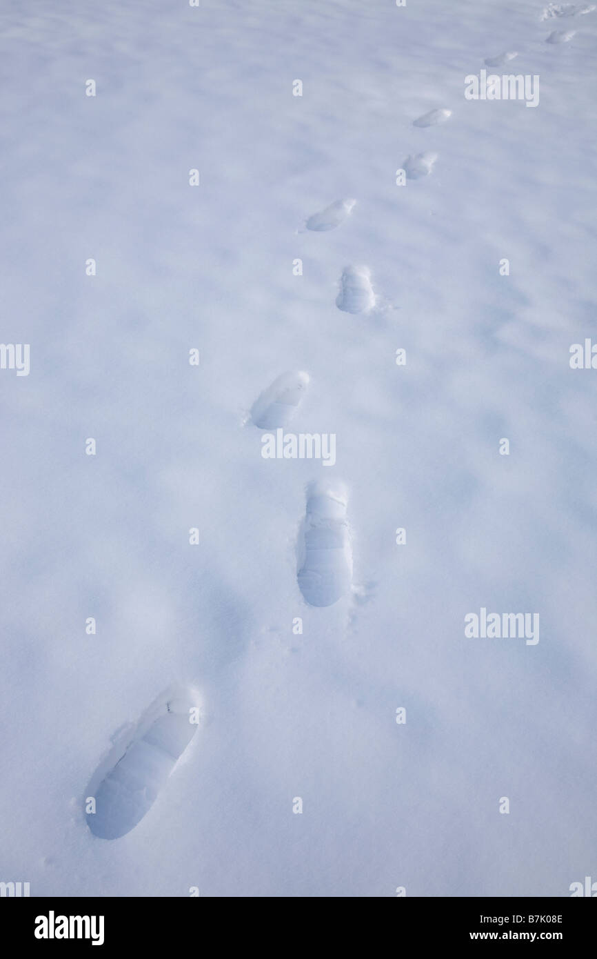 Fußspuren im Schnee Stockfoto