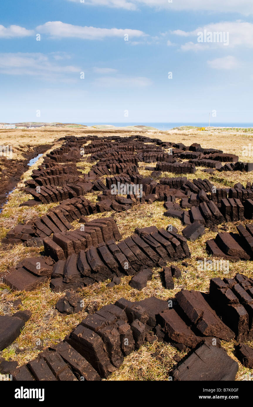 Reihen von Torf Stecklinge trocknen in der Sonne, Caithness Schottland Stockfoto