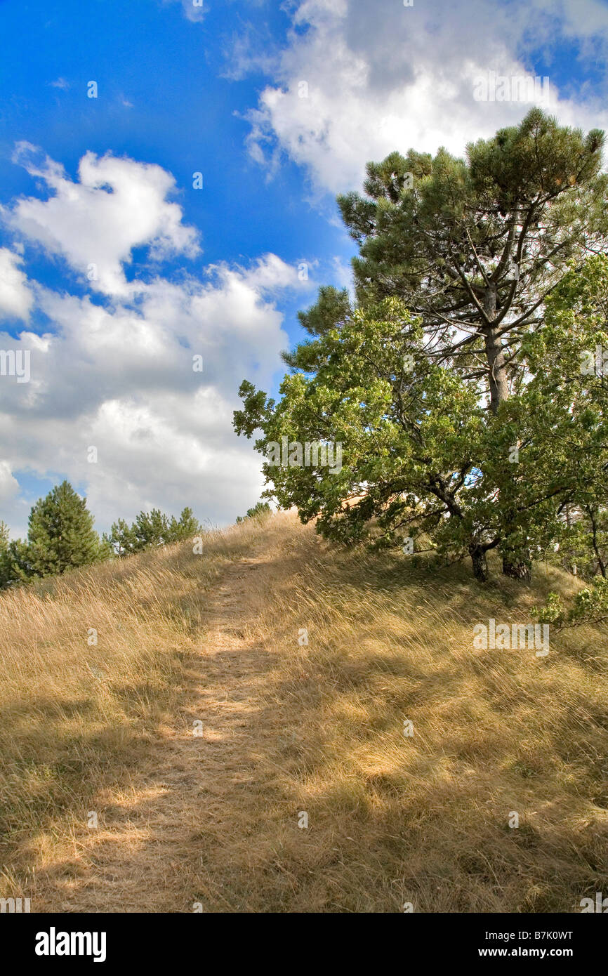 Trockene Hügel im Sommer, Italien Stockfoto