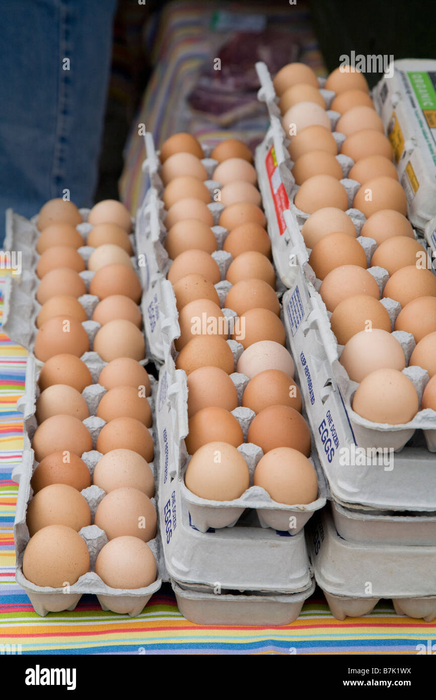 Washington DC braunen Eiern zum Verkauf auf einem Bauernmarkt in der Nähe von DuPont Circle Stockfoto