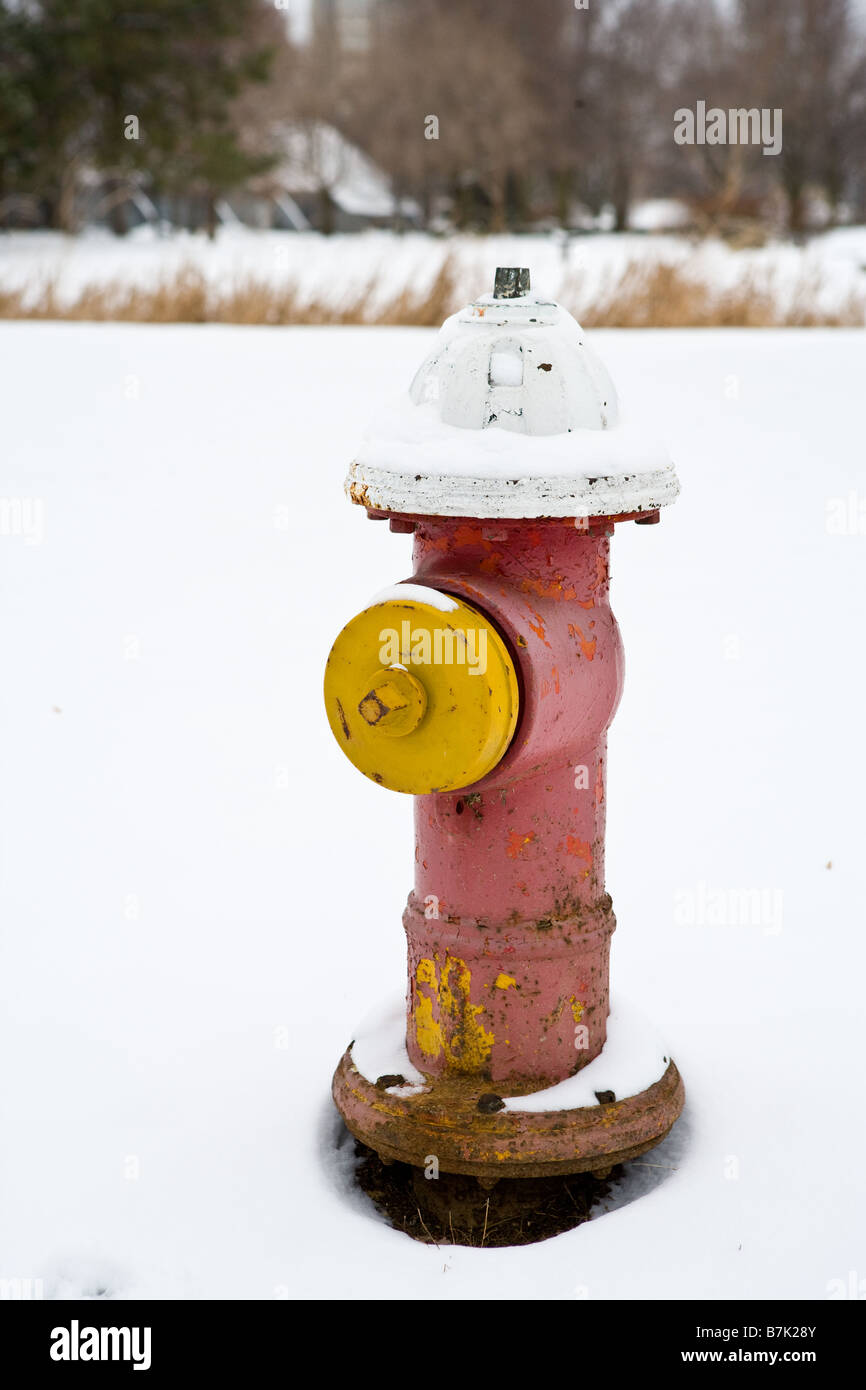 Einem Hydranten im Franklin Park Stockfoto