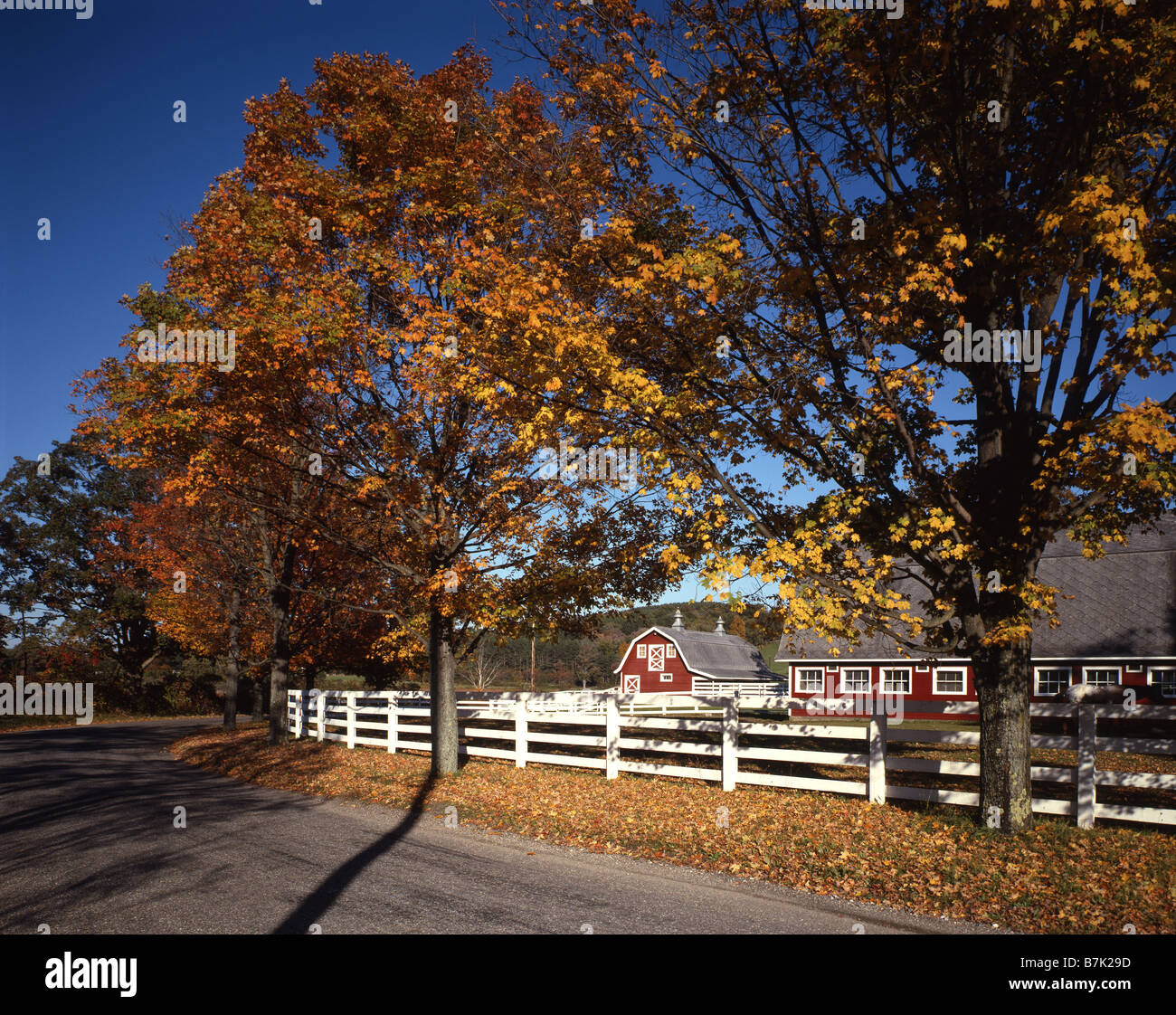 Reiterhof im Herbst Stockfoto