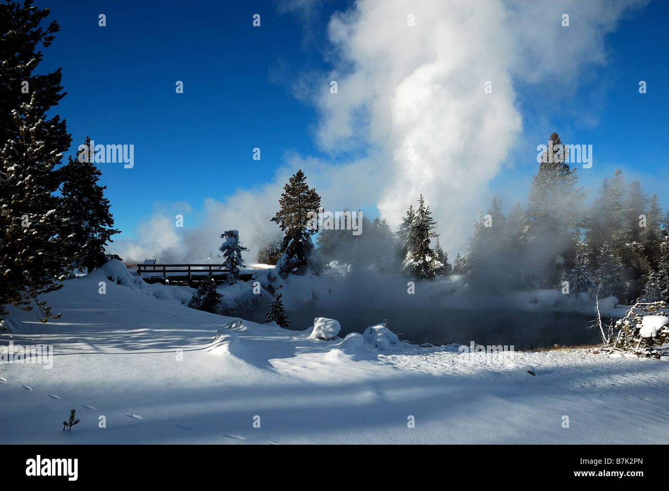 Thermalquellen und Fumarolen. Der Yellowstone Nationalpark, Wyoming, USA. Stockfoto