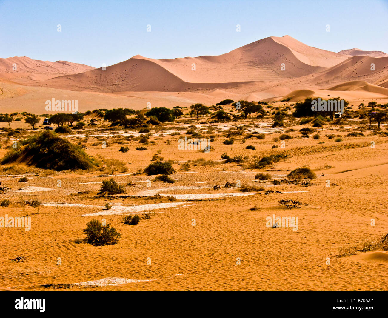 Namib-Wüste Stockfoto