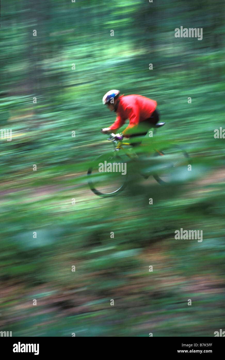 Junge Frau Mountainbiken auf Minnesing Trail, Algonquin Park, Ontario, Kanada Stockfoto