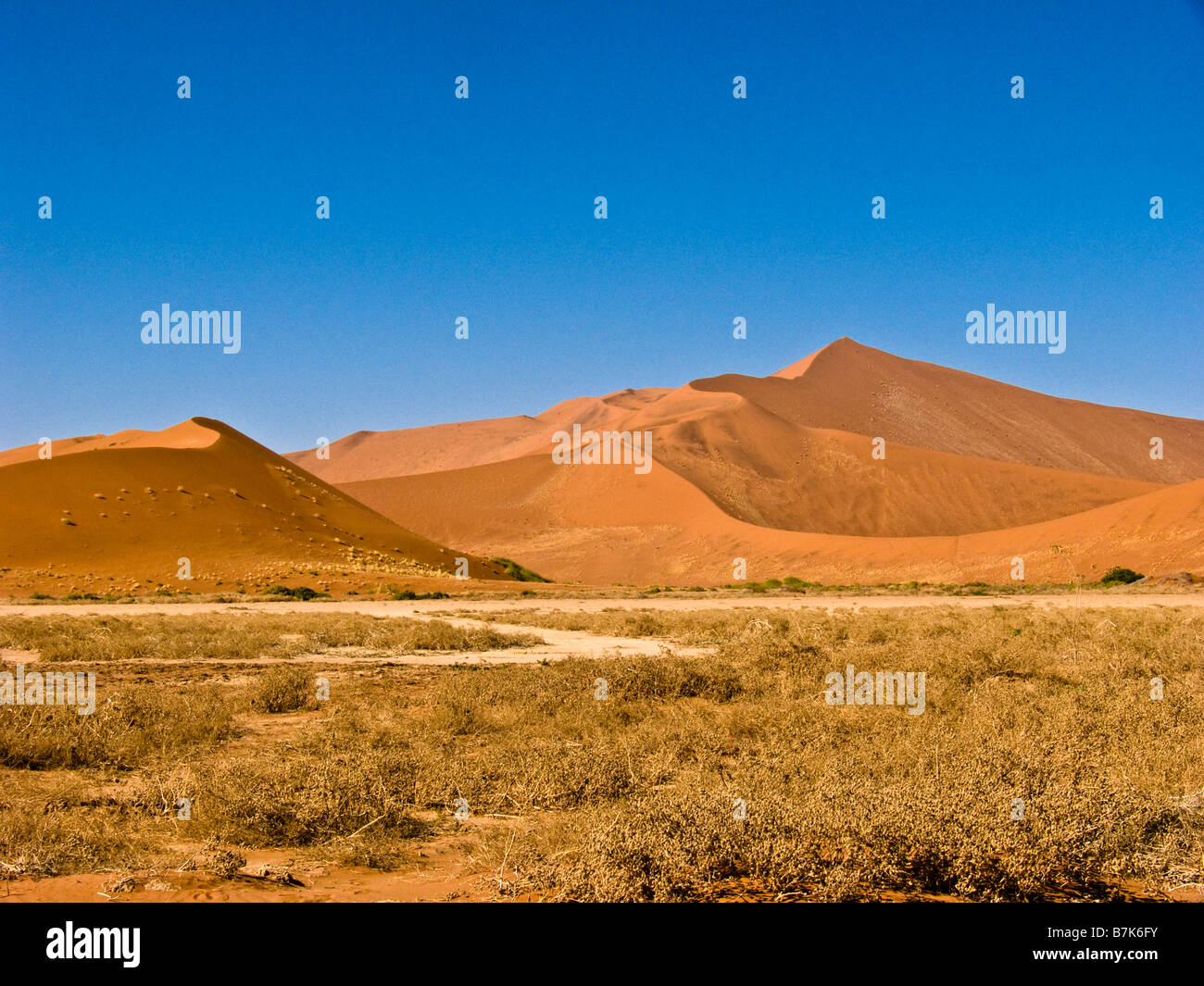 Namib-Wüste Stockfoto