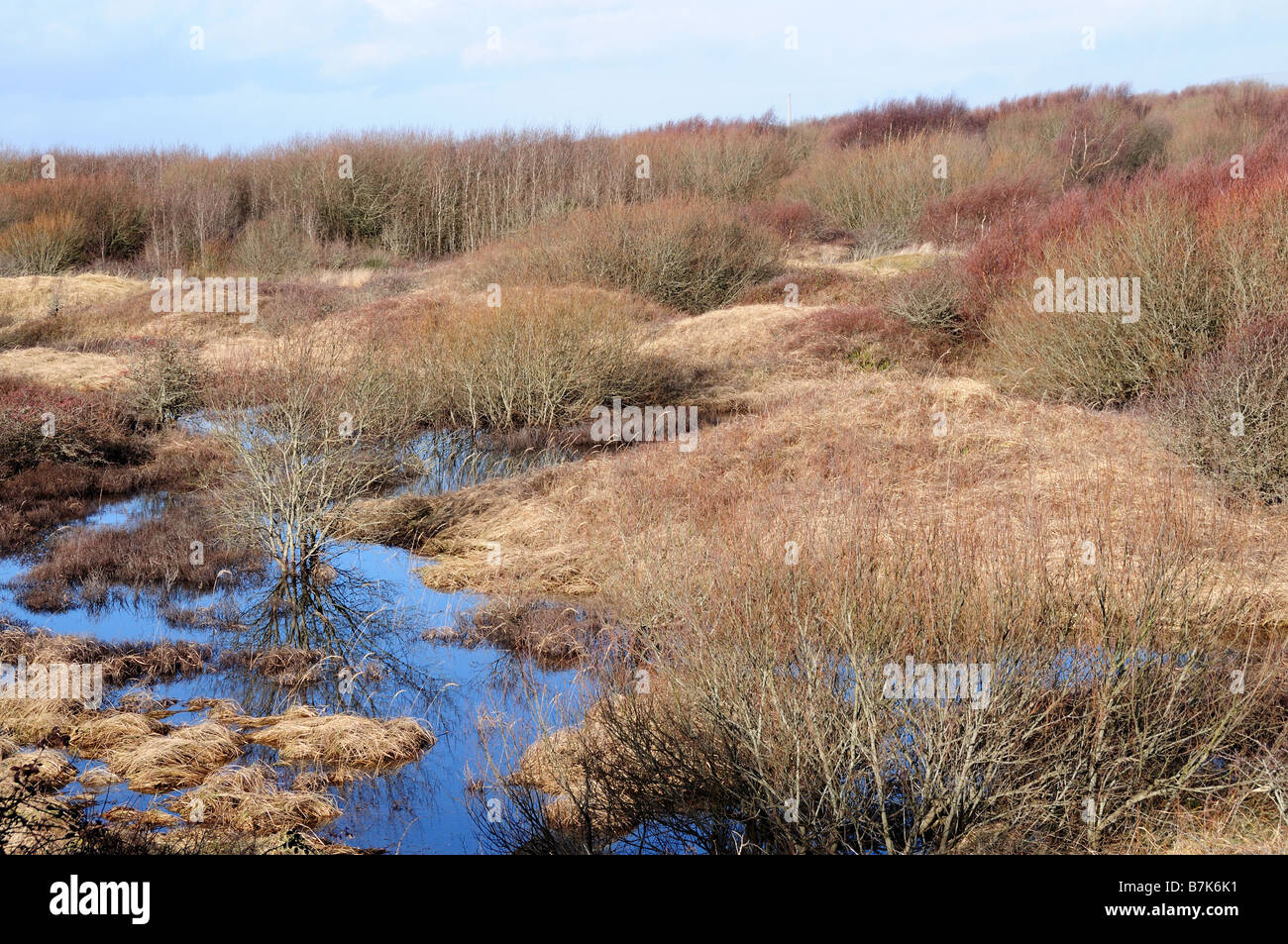 Dünensystem Qualitätsorientierung national Nature reserve Glamorgan Wales Stockfoto