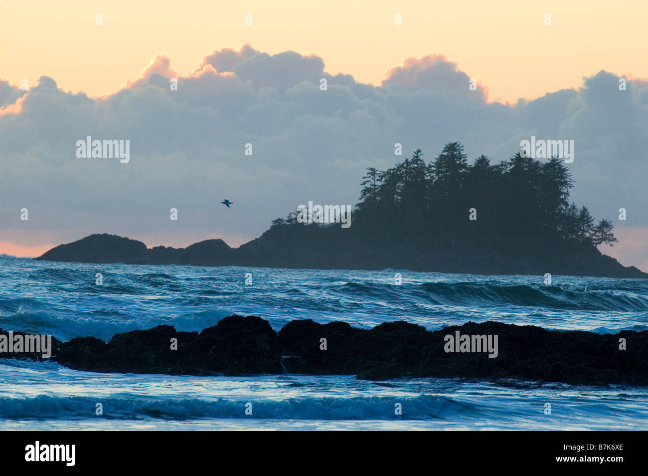 Sonnenuntergang, Chesterman Beach, Tofino, Vancouver Island, BC Stockfoto