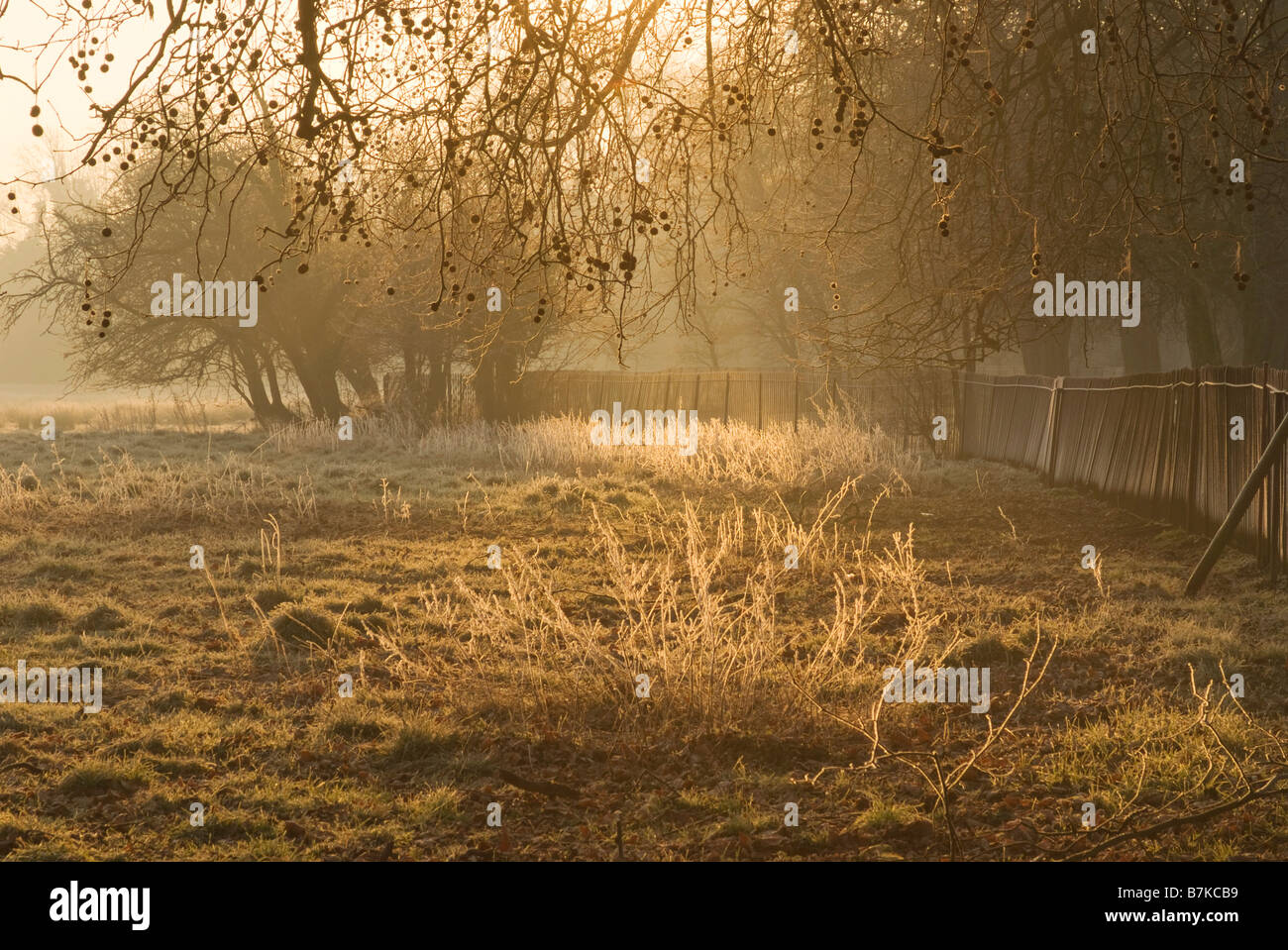 Am frühen Morgen Frost, Oxford Stockfoto