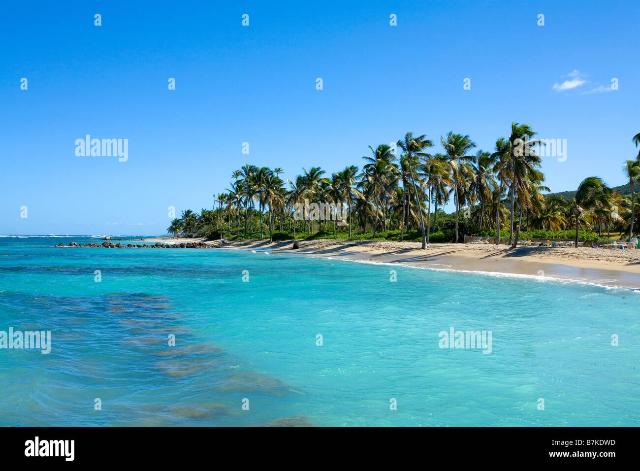 Nisbet Beach in Nevis in der Karibik Stockfoto