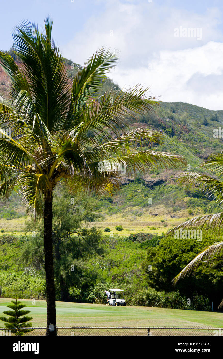 Wailua Golfplatz Kauai HI Stockfoto