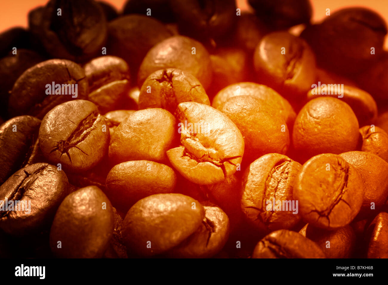 Makro-Bild mit Kaffeekörner Stockfoto