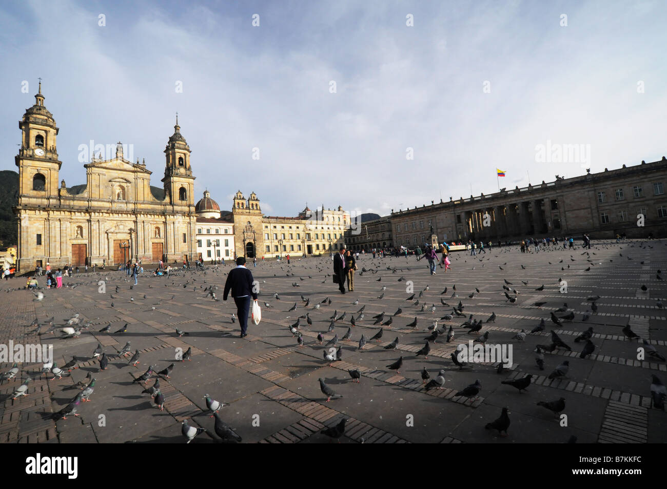 Tauben auf der Plaza Bolivar in Bogota, Kolumbien Stockfoto