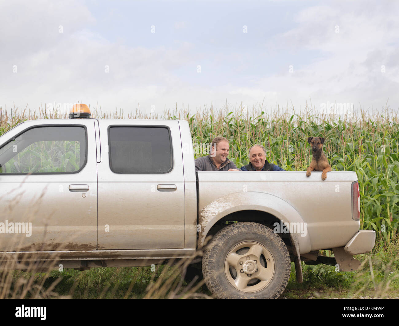 Landwirte Und Hund Im Pickup Truck Stockfotografie Alamy