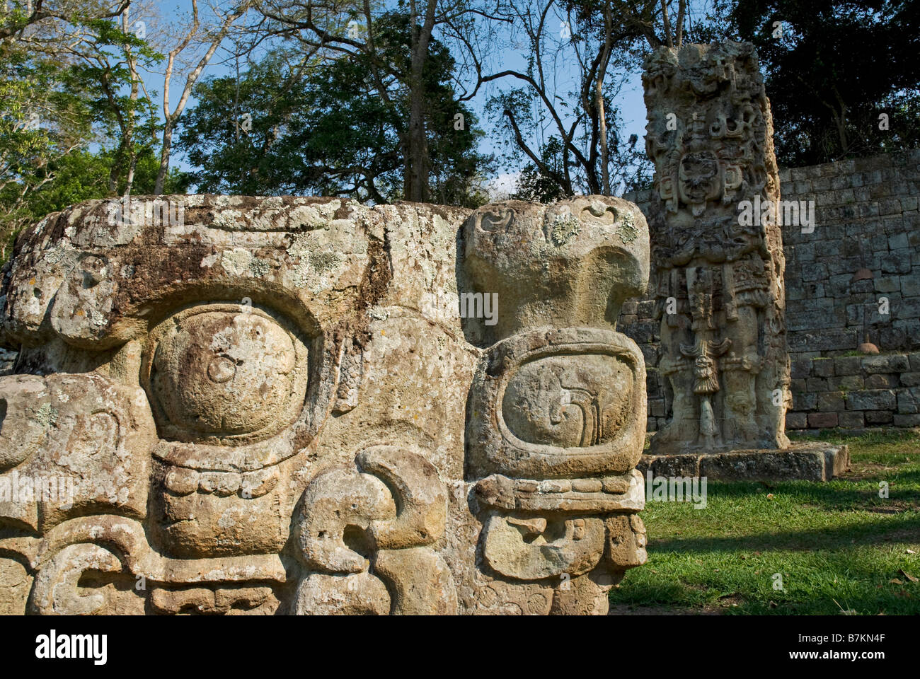 Honduras, Copan, Maya Ruinen von Copan, ein UNESCO-Weltkulturerbe. Stockfoto