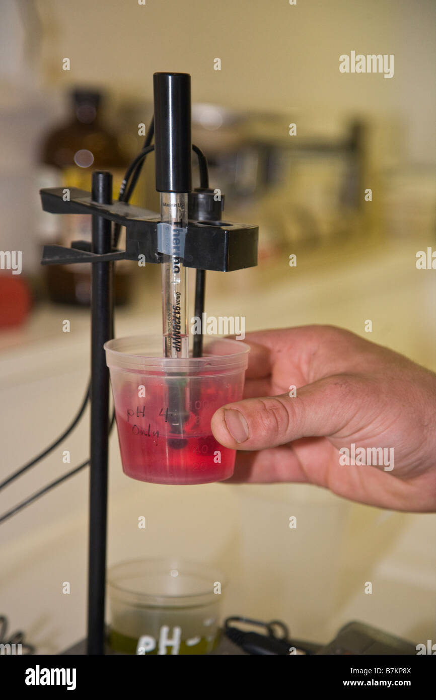 PH-Wert und andere chemische Tests werden durchgeführt, um den Traubensaft für die Weinherstellung an JOULLIAN Weinberge CARMEL VALLEY CALIFORNIA testen Stockfoto