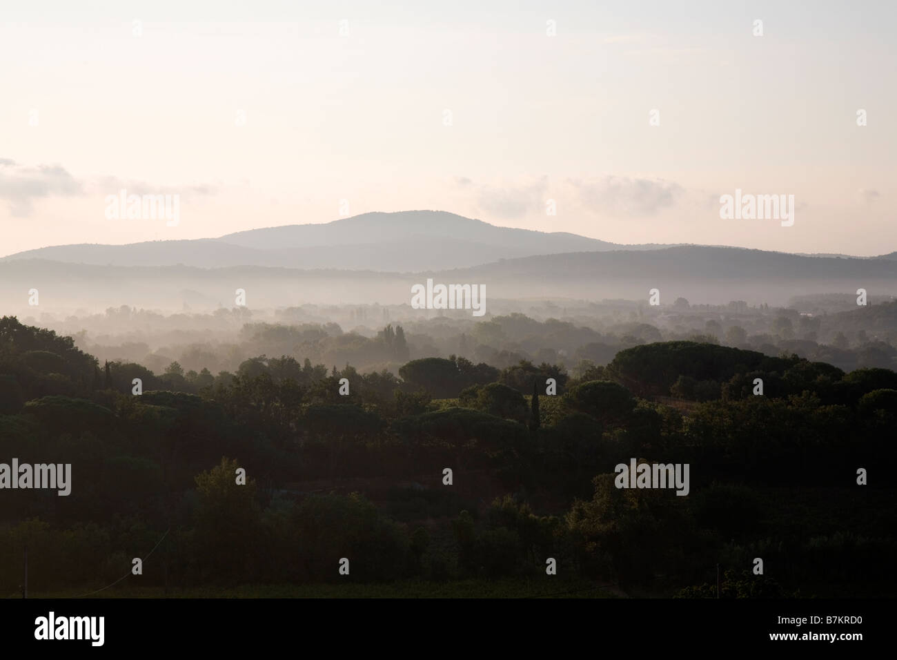 Nebligen Szene, Südfrankreich Sept 2008 Stockfoto