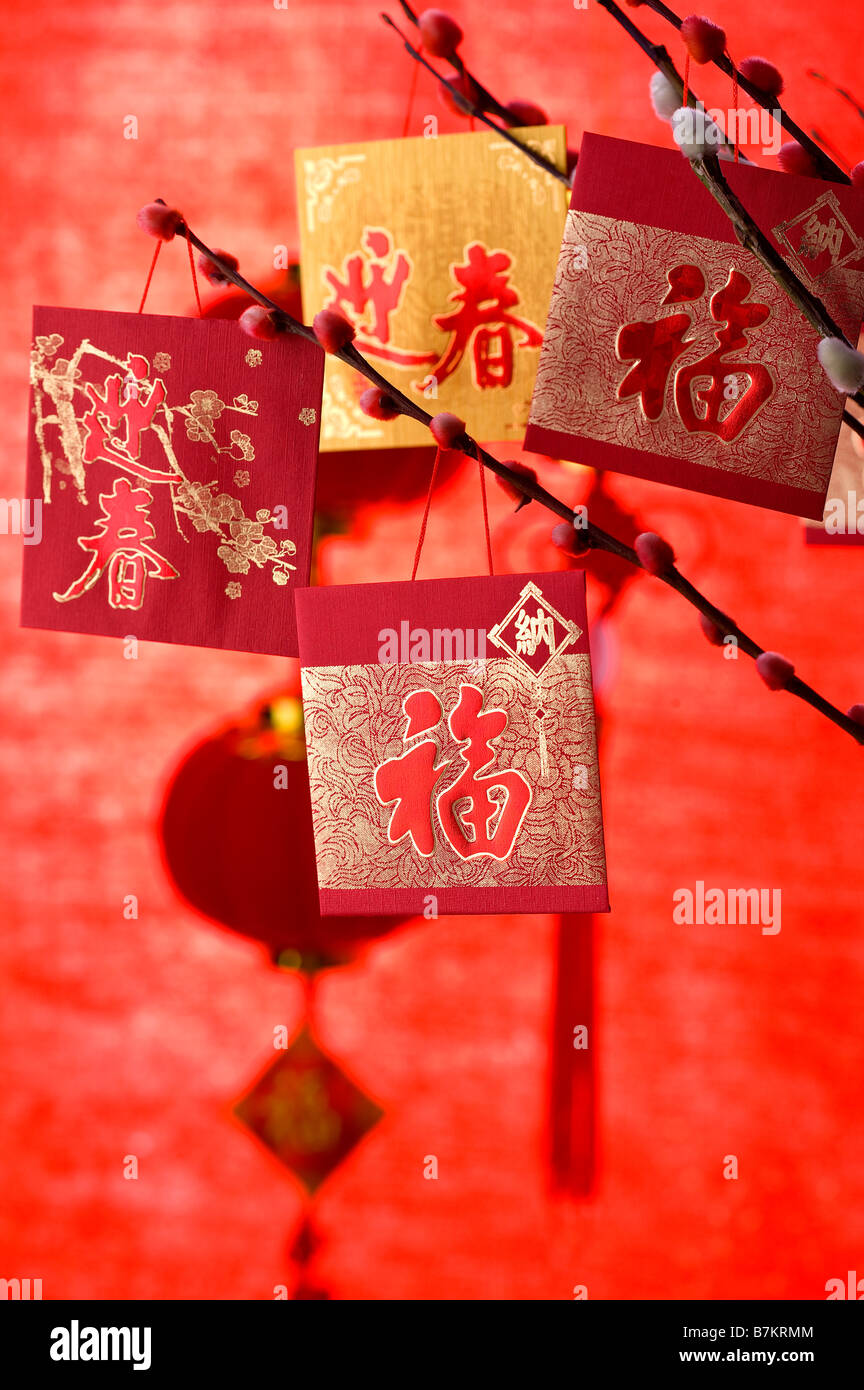 Nahaufnahme der Karten für die Dekorationen an den Club-Baum hängen Stockfoto