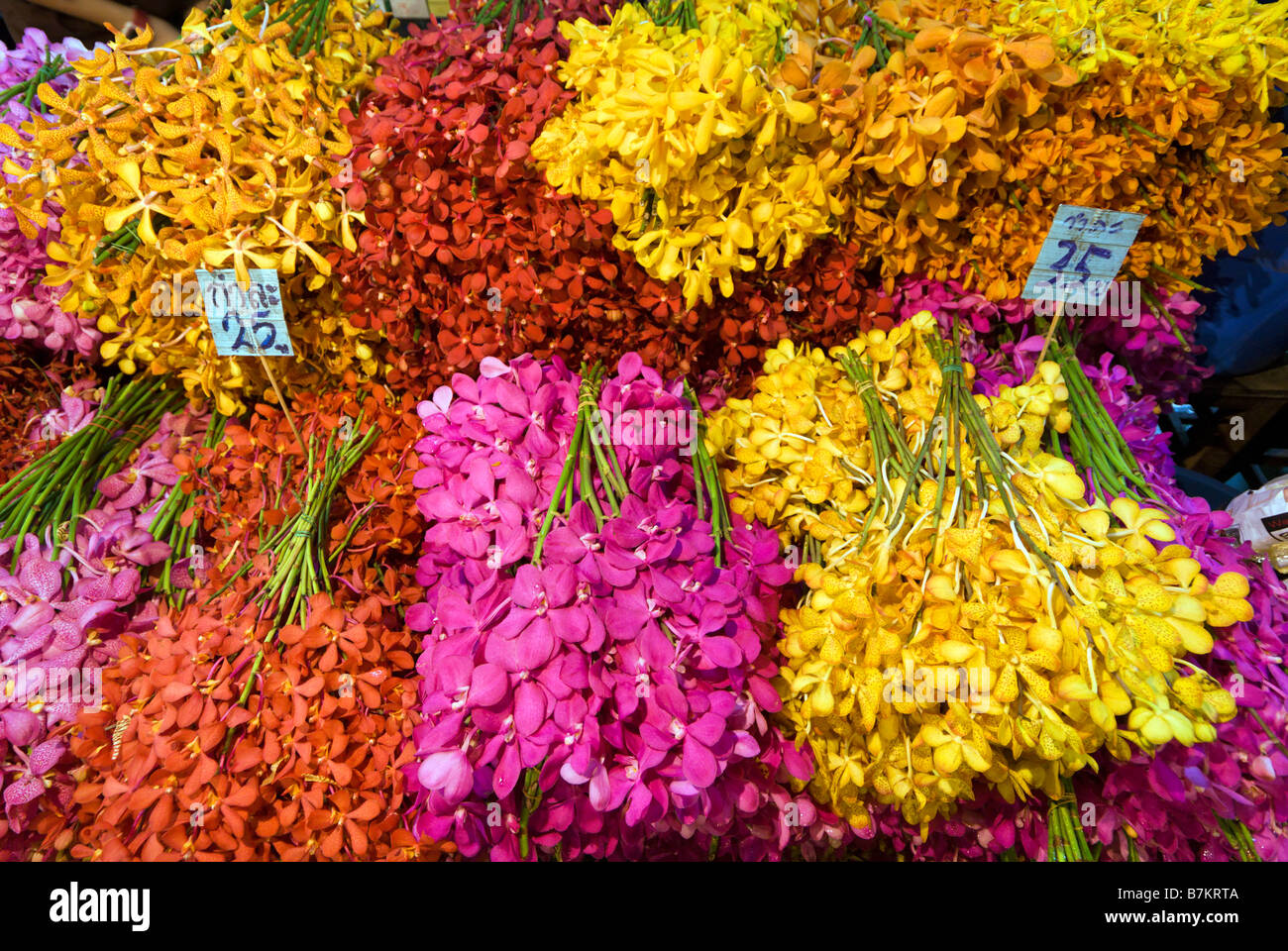 Haufen von bunten Orchideen zum Verkauf an Pak Khlong Talad Blume Markt Bangkok Thailand Stockfoto
