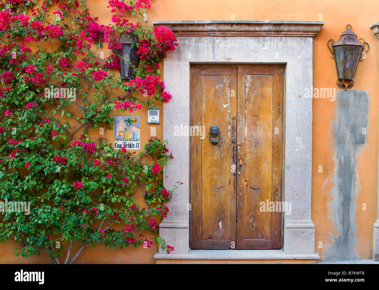 Tür mit Blumen, San Miguel de Allende, Mexiko Stockfoto
