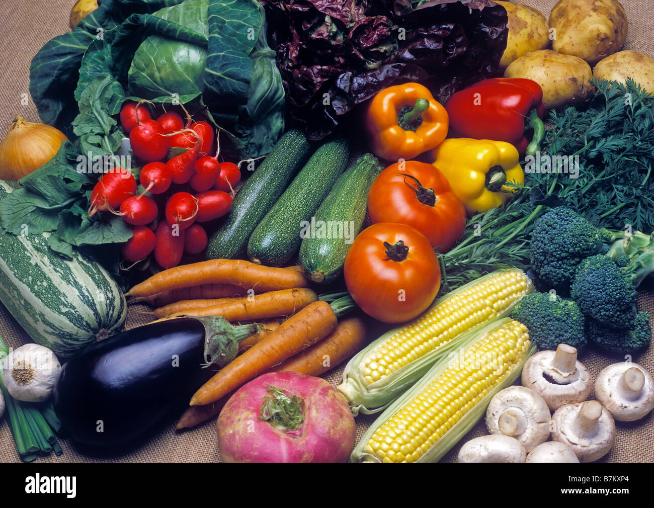 Anzeige von frischem Gemüse Stockfoto