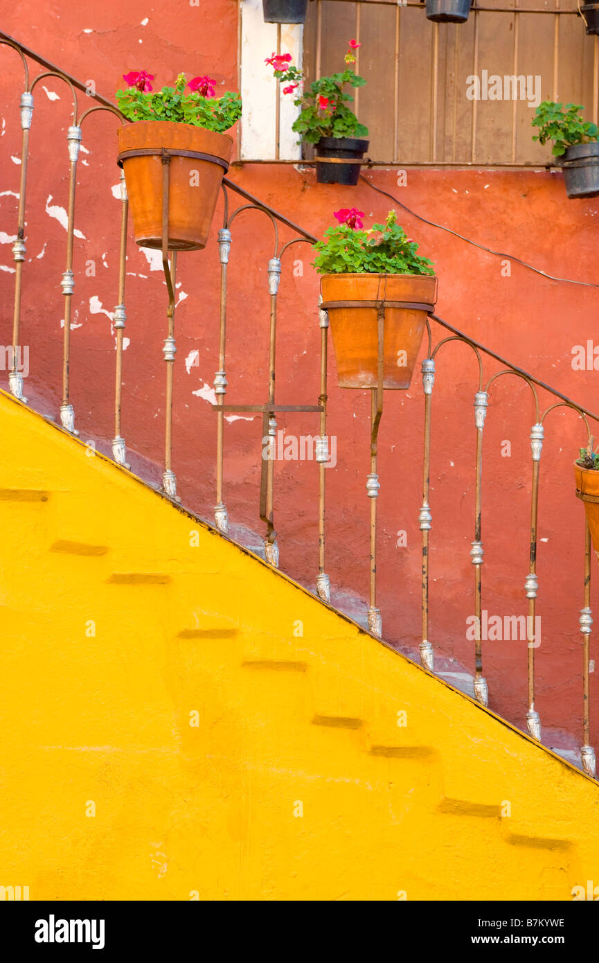 Gelb, Treppen und Blumentöpfe, Guanajuato, Mexiko Stockfoto