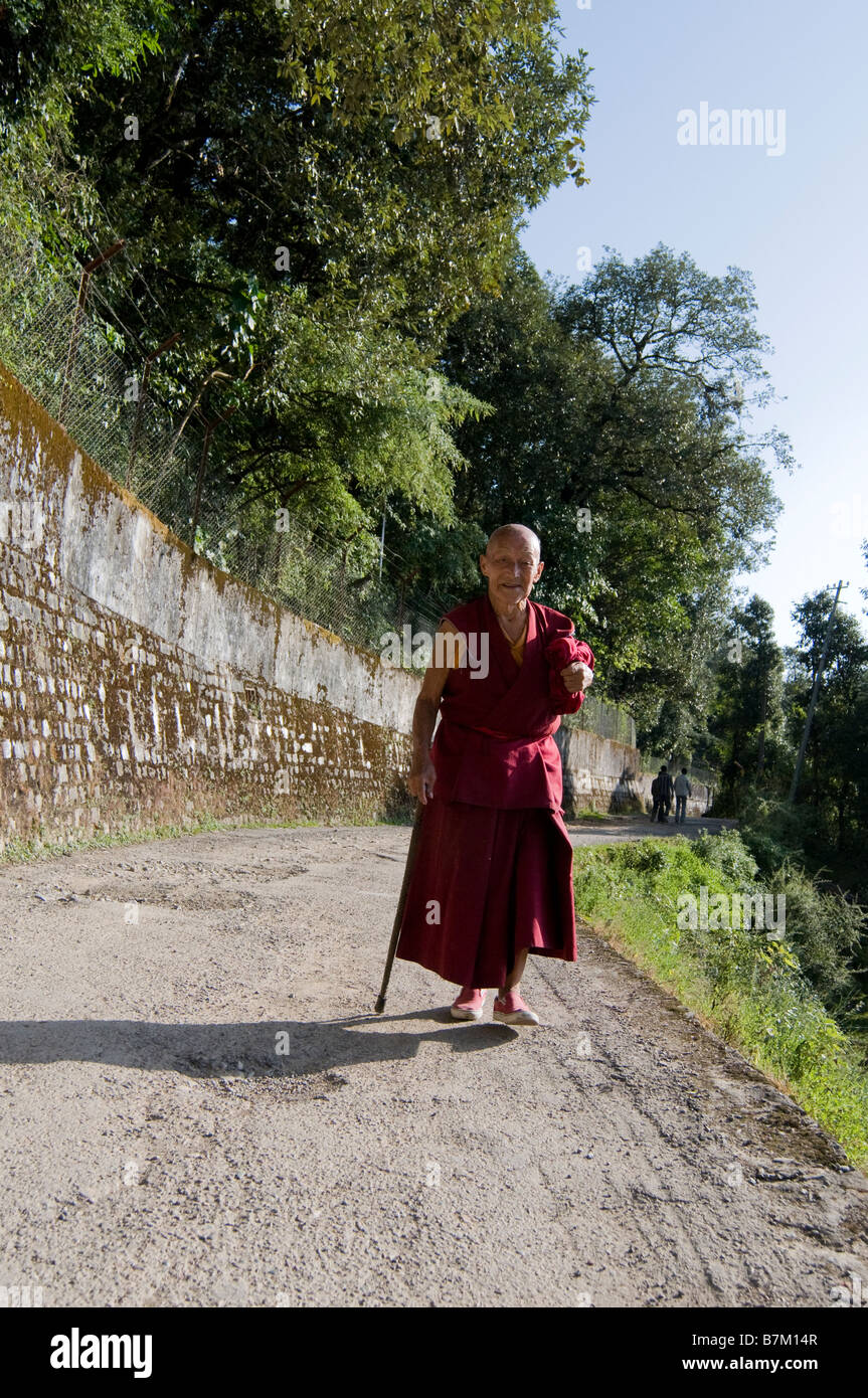 Tibetischer Mönch. MacLeodganj in den Ausläufern des Himalaya. Dharamsala. Himachal Pradesh. Indien. Stockfoto