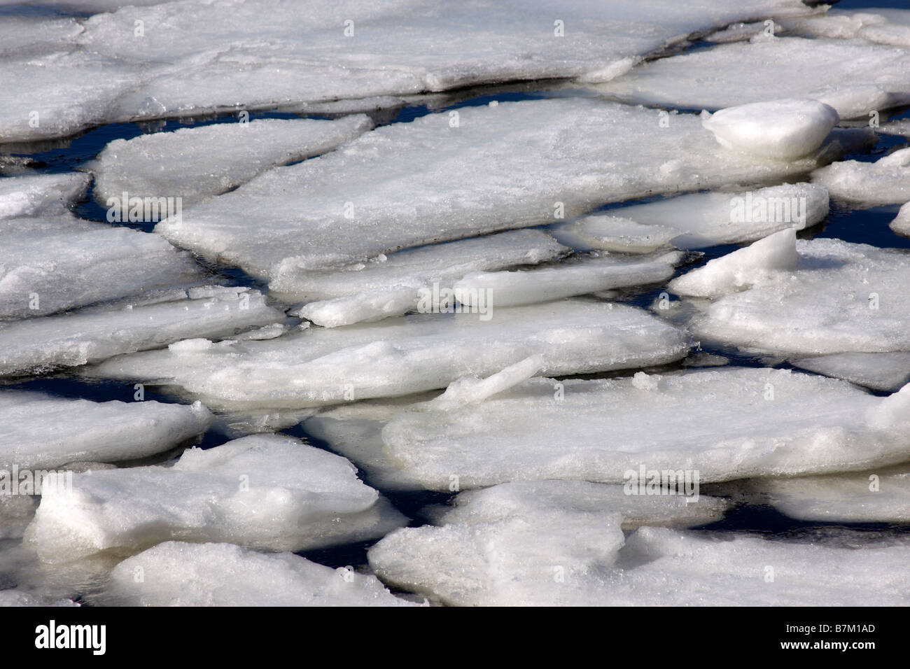 Eisbrocken in gefrorenen Hafen, Long Island, New York Stockfoto
