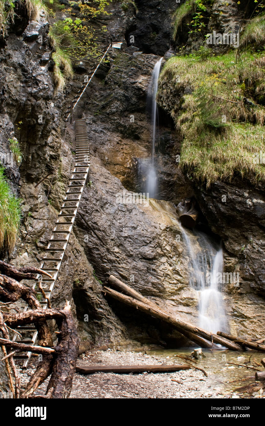 Leitern in Schlucht Sucha Bela Slowakisches Paradies, Slowakei Stockfoto