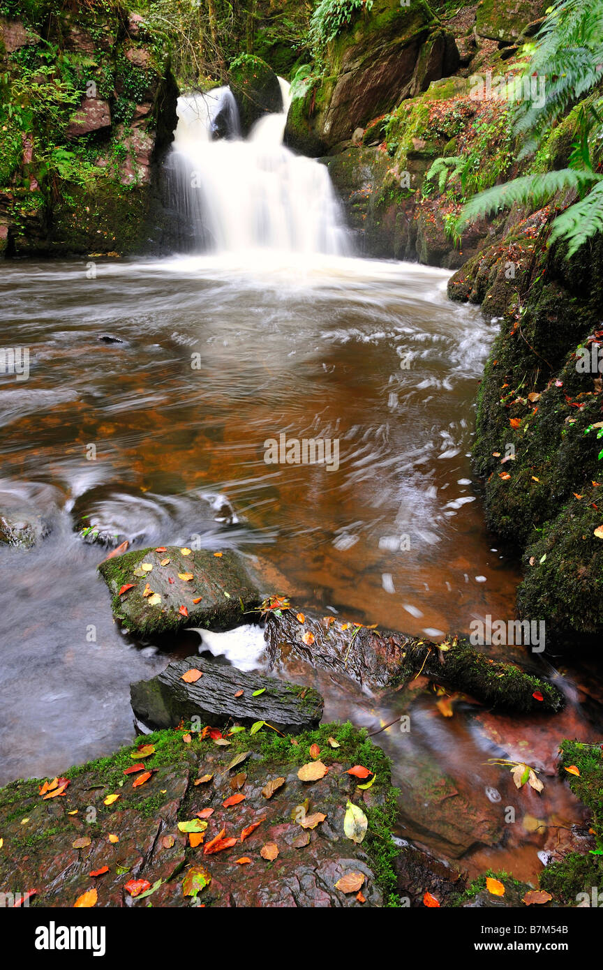 Mullinhassig Wasserfall, Co.Cork, Irland mit Felsen und Laub Stockfoto