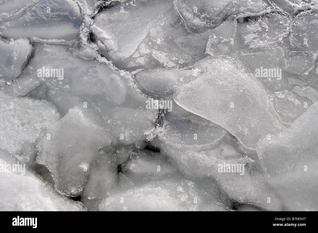 Eisscholle und offenem Wasser am Ufer eines Sees Stockfoto