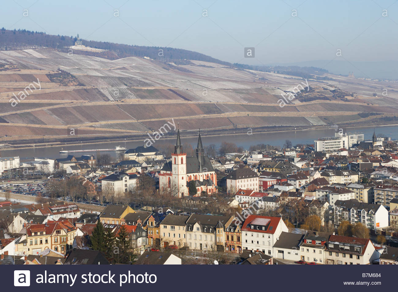 Bingen Stadt Saint Martin Basilika historischen Weinberg Wein wachsende