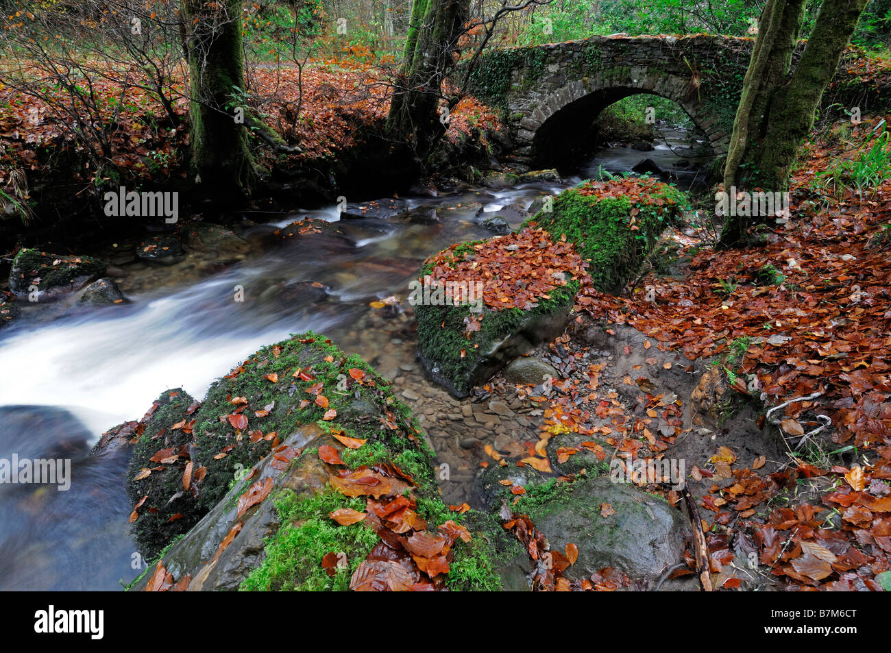 Steinbrücke Stream River Herbst verläßt braun Blatt Herbst herbstliche rustikale alte malerische Picteresque Inistioge County Kilkenny Irland Stockfoto