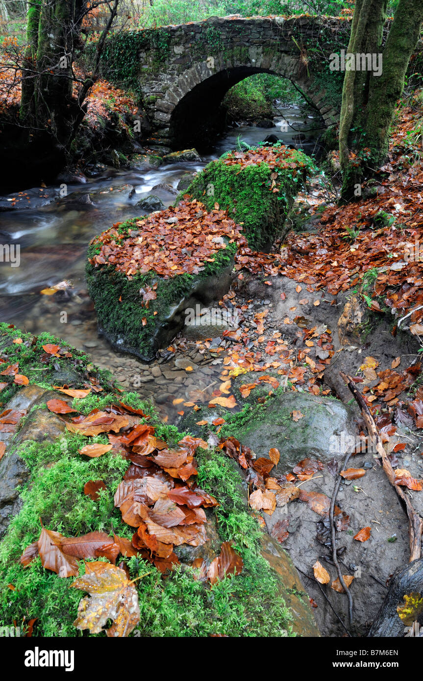 Steinbrücke über Stream Herbst braune Blätter Blatt Herbst Auntumnal rustikale Olc malerische Picteresque Inistioge County Kilkenny Irland Stockfoto
