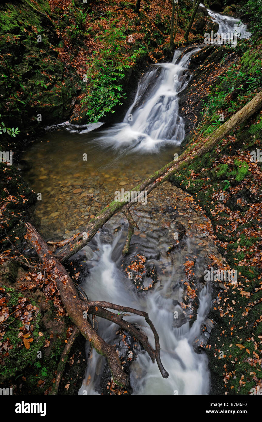 Wasserfall Fluss Stream Langzeitbelichtung seidigen weißen Fluss grün Unterholz Herbst Woodstock Gärten Inistioge Kilkenny Irland Stockfoto