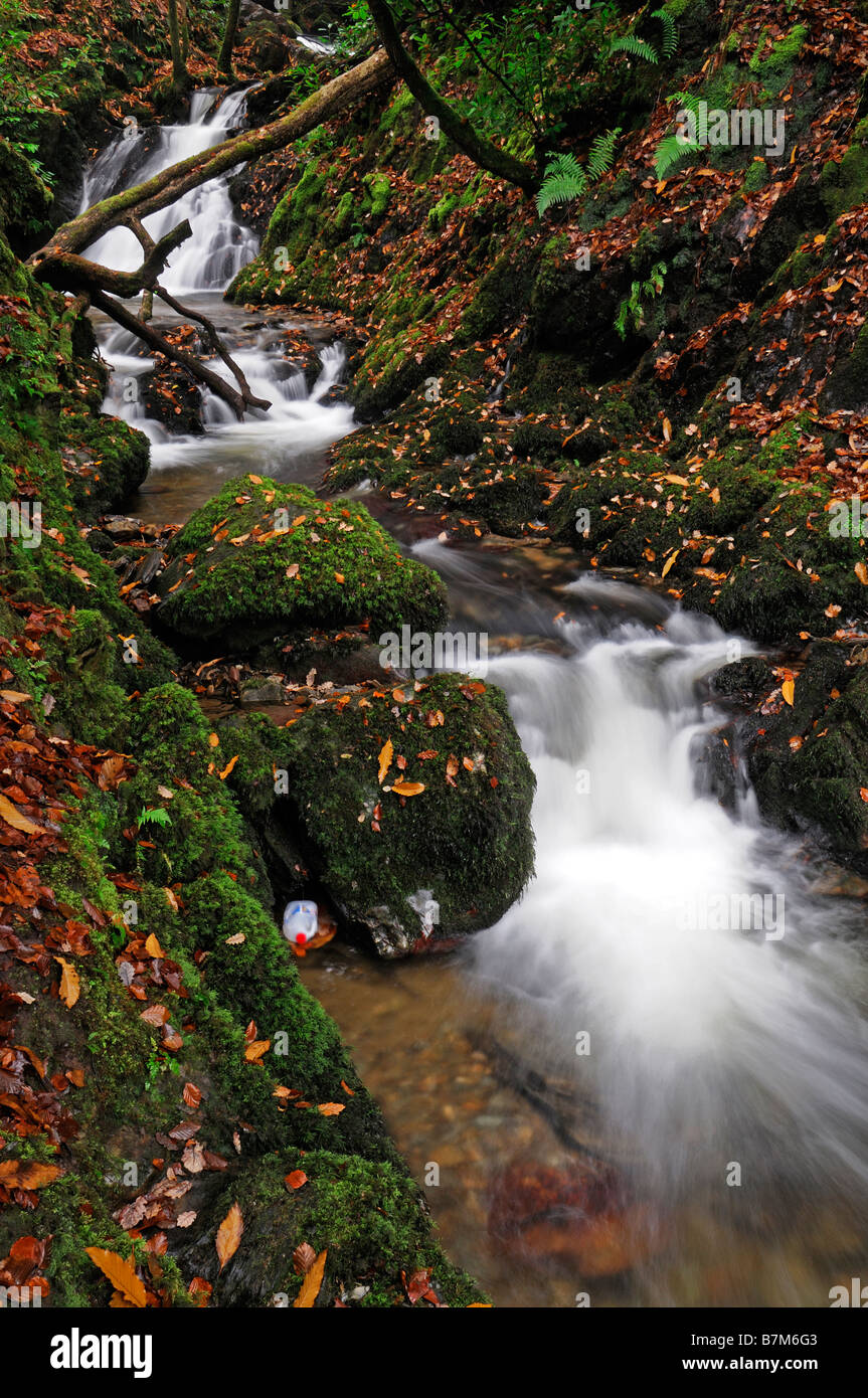Wasserfall Fluss Stream Langzeitbelichtung seidigen weißen Fluss grün Unterholz Herbst Woodstock Gärten Inistioge Kilkenny Irland Stockfoto