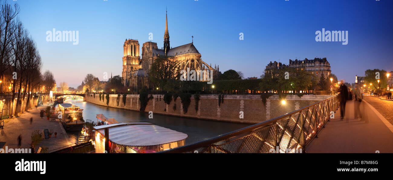 SEINE UND NOTRE DAME DE PARIS BEI NACHT Stockfoto
