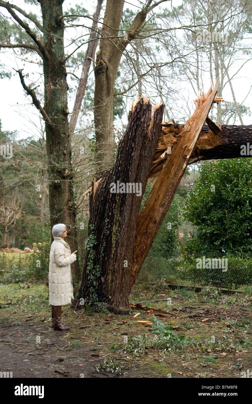 Schäden, die durch die Klaus Sturm in Südwestfrankreich. Dégâts Causés par la Tempête Klaus Dans le Sud-Ouest De La France. Stockfoto