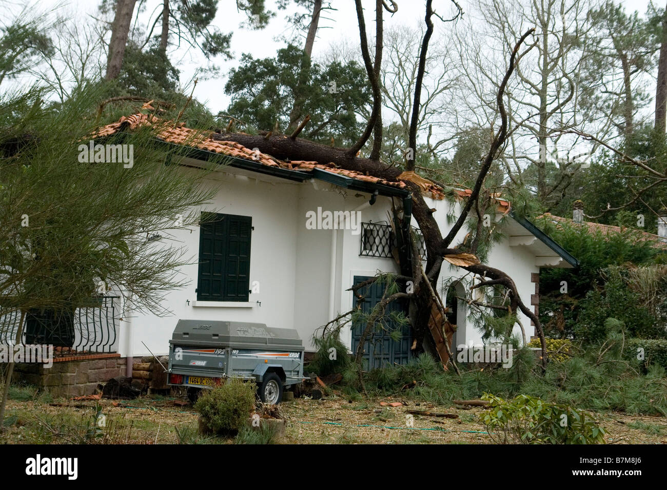Schäden, die durch die Klaus Sturm in Südwestfrankreich. Dégâts Causés par la Tempête Klaus Dans le Sud-Ouest De La France. Stockfoto