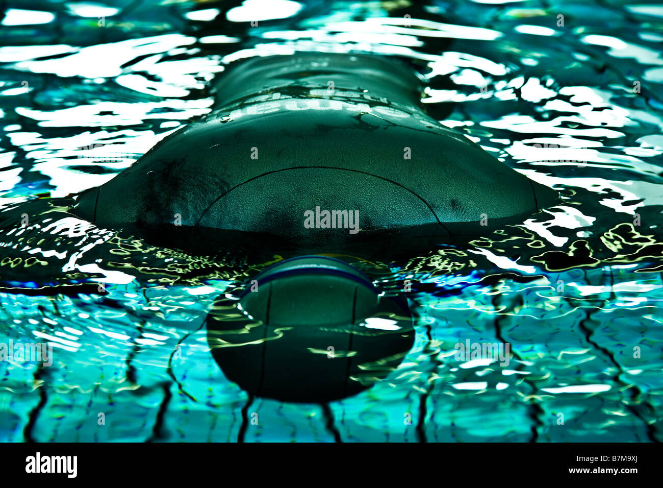 Apnoe-Training mit Neoprenanzug in einem Schwimmbad Stockfoto