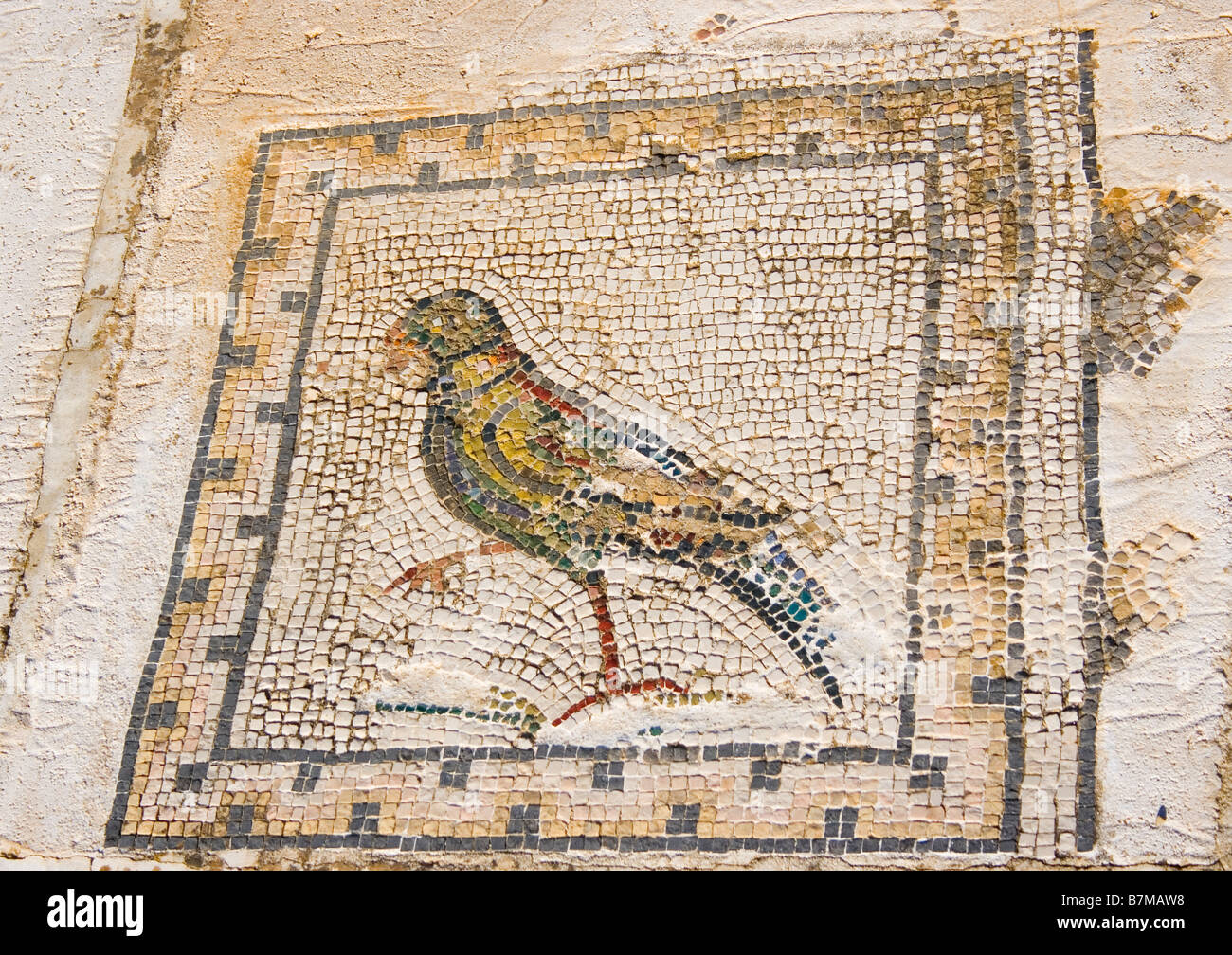 Italica Santiponce Sevilla Spanien Detail Bodenmosaik im Haus der Vögel Stockfoto