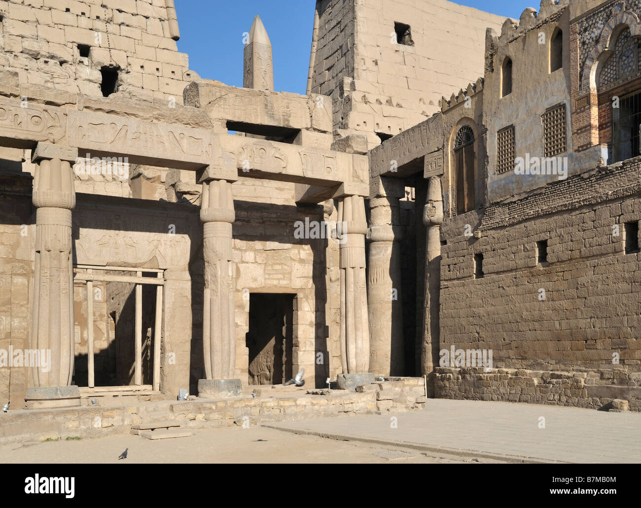 Dreifacher Schrein von Ramses II, El-Haggag-Moschee, koptische Kirche, Luxor-Tempel, Luxor, Ägypten 081116 32704 Stockfoto