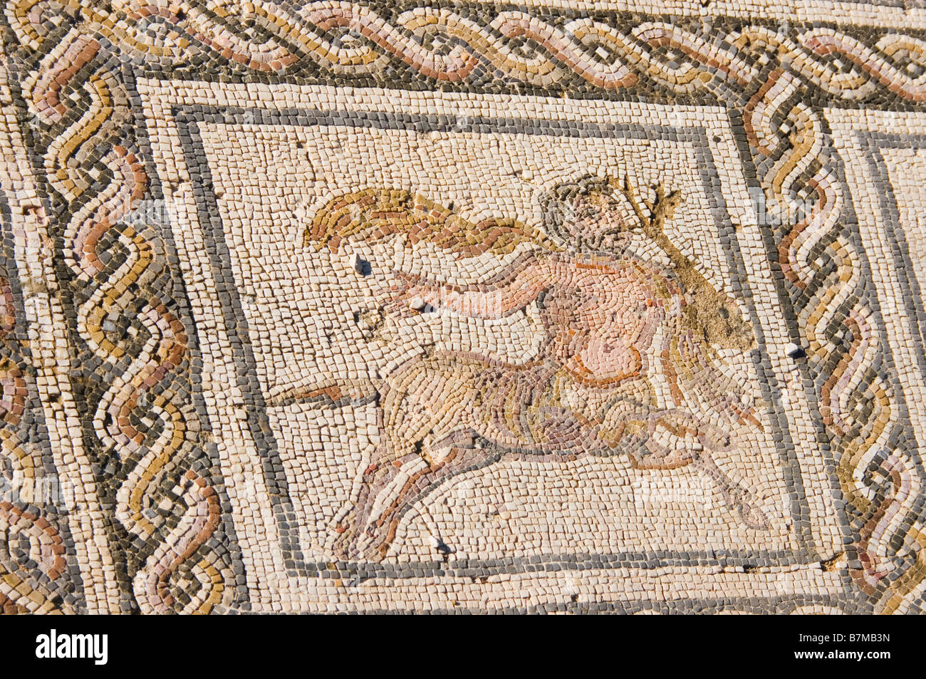 Italica, Satiponce, Sevilla, Spanien. Detail des Mosaiks von Dioniso und Ariadna in der römischen Stadt Italica Stockfoto
