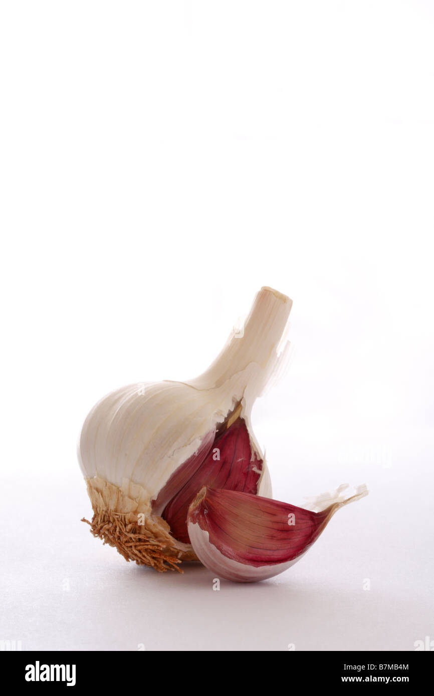 Eine Glühbirne von Knoblauch mit einer losen Knoblauchzehe Stockfoto