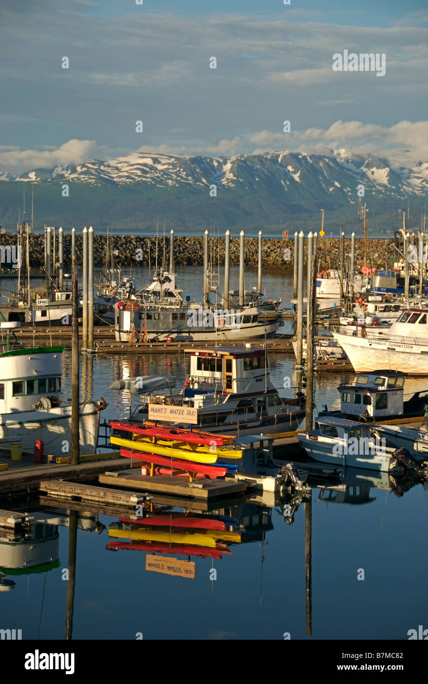 der Bootshafen von Homer in alaska Stockfoto