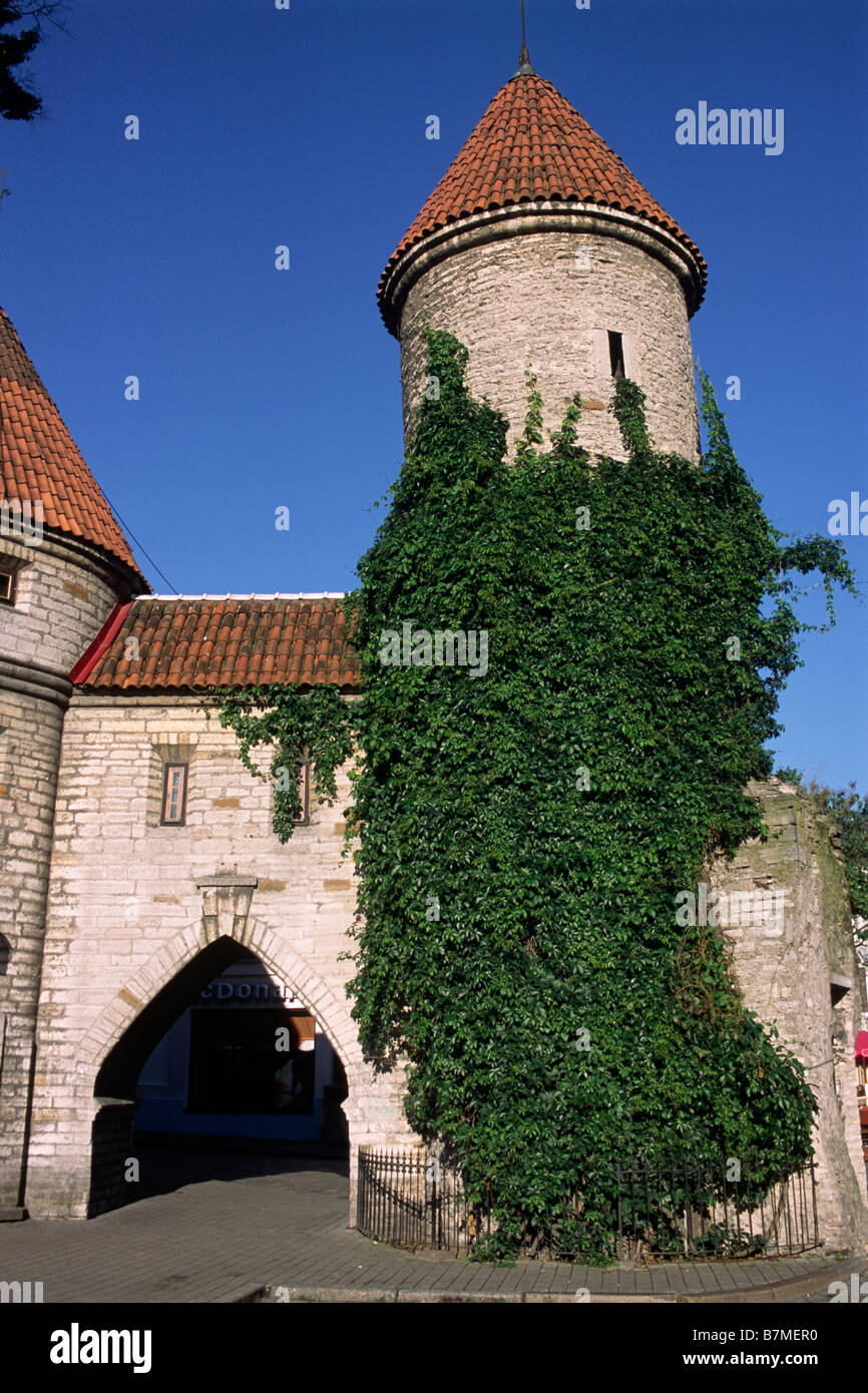 Estland, Tallinn, Altstadt, Stadtmauern, Viru-Tor Stockfoto