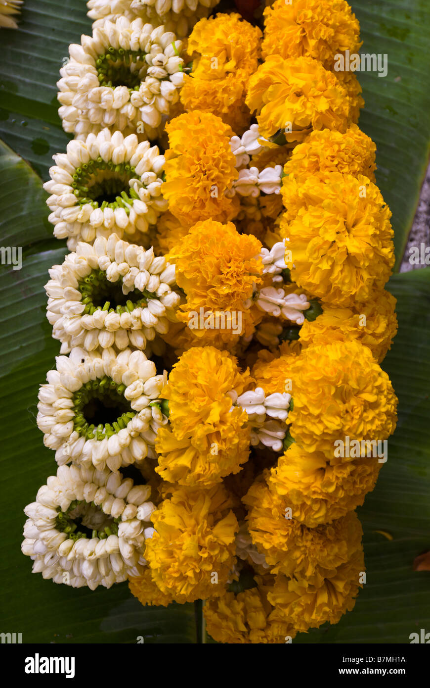 Devotional Blume-Angebote für den Verkauf auf einen Stand auf Pak Khlong Talad Blumenmarkt Bangkok Thailand Stockfoto