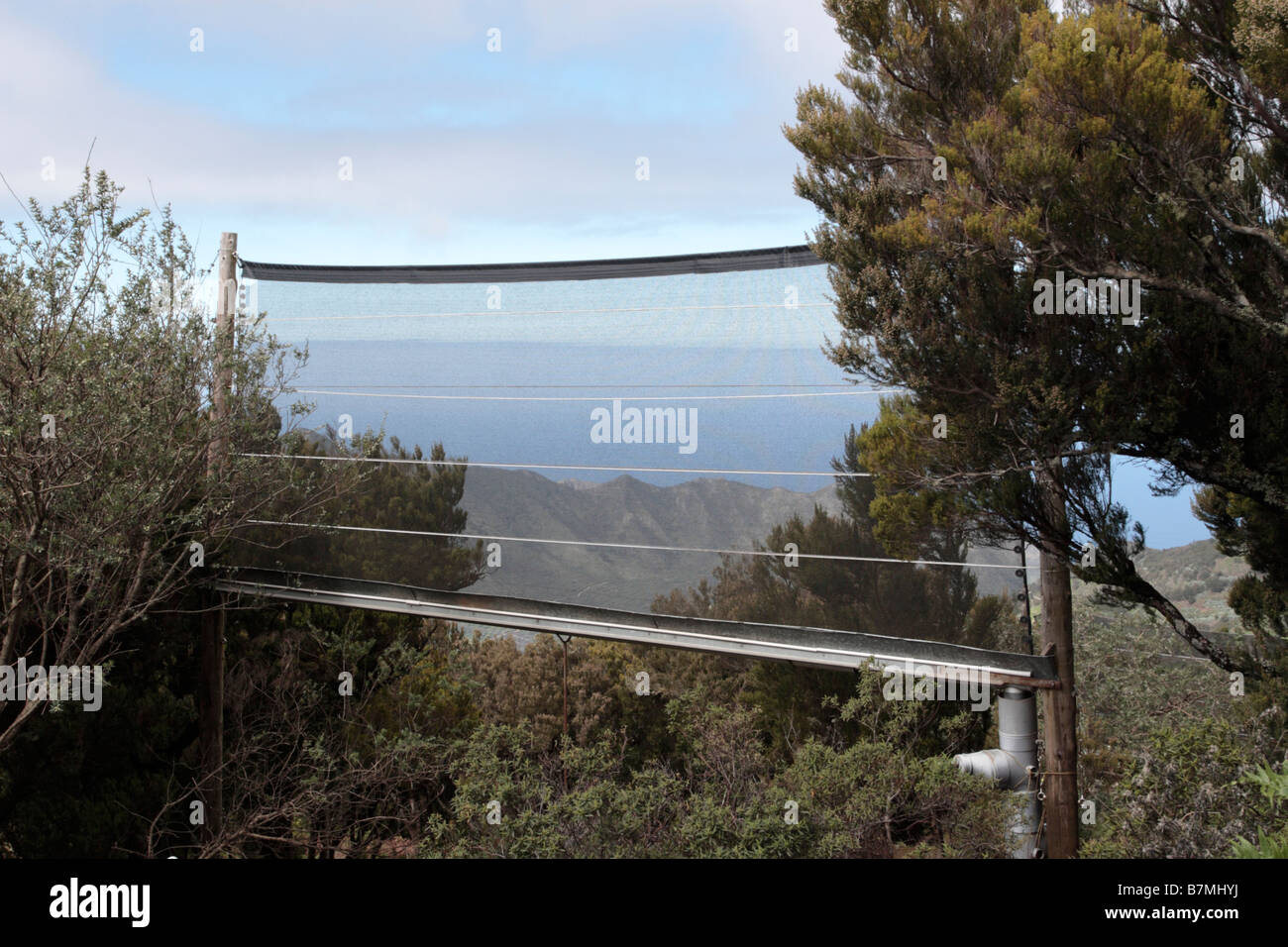 Eine Vorrichtung zum Sammeln von Wasser aus den Wolken, die oft in diesem Teil des Teno-Massivs auf Teneriffa niedrig sind Stockfoto